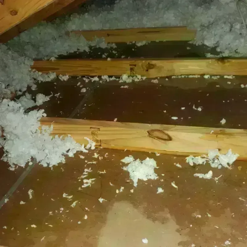 Attic Water Damage in Murillo Colonia, TX